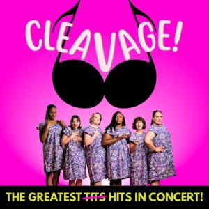 cleaVage in Concert