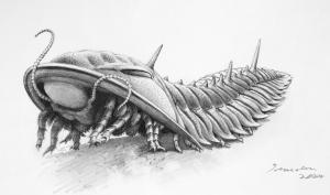 Sprigg Salon Conversations: Illustrating the Palaeozoic with Peter Trusler