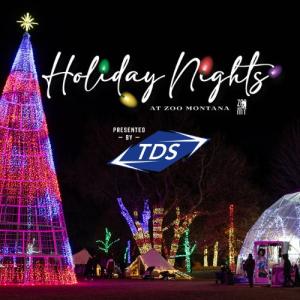 Holiday Nights