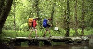 Walking The Camino- AmDocs Highlight Series