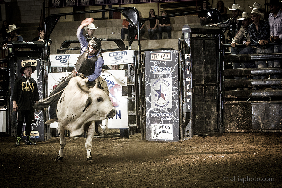 Tickets for Bullmania 2015 in Fletcher from ShowClix