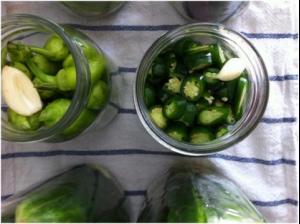 The Pickle and All Things Fermented