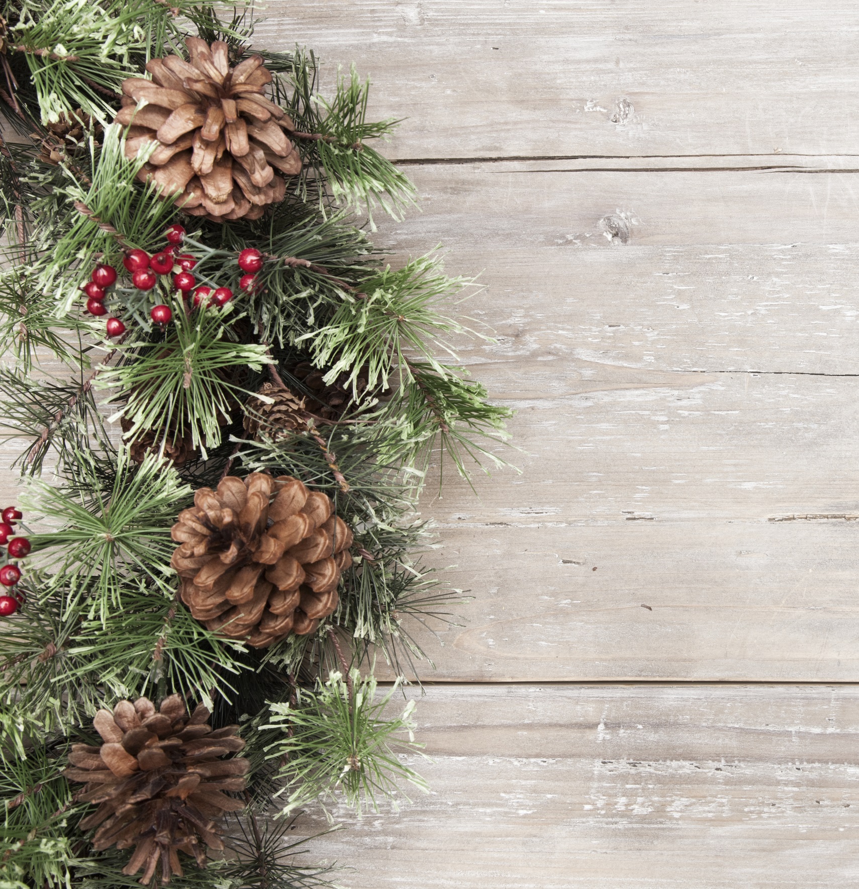 Tickets for FLORISTRY WITH WALDONS FLOWERS in Kotara from