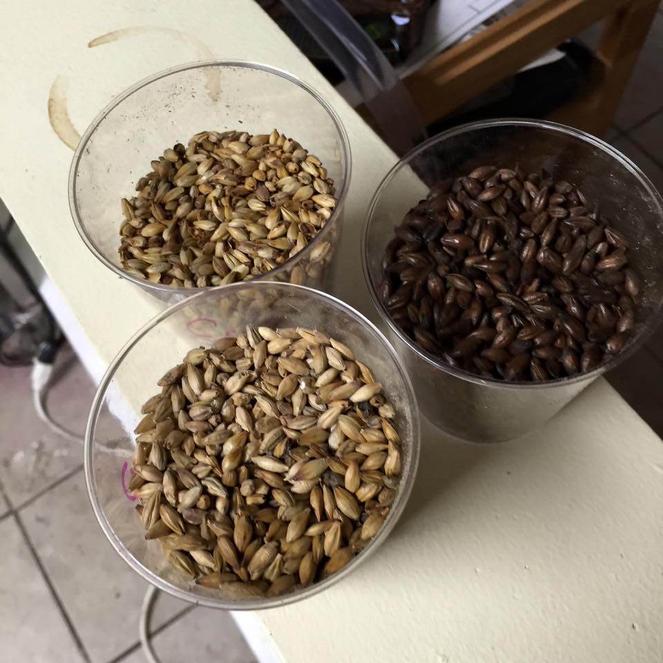 Tickets for Home Brew Day - Hot Chocolate Milk Stout in East Hartford