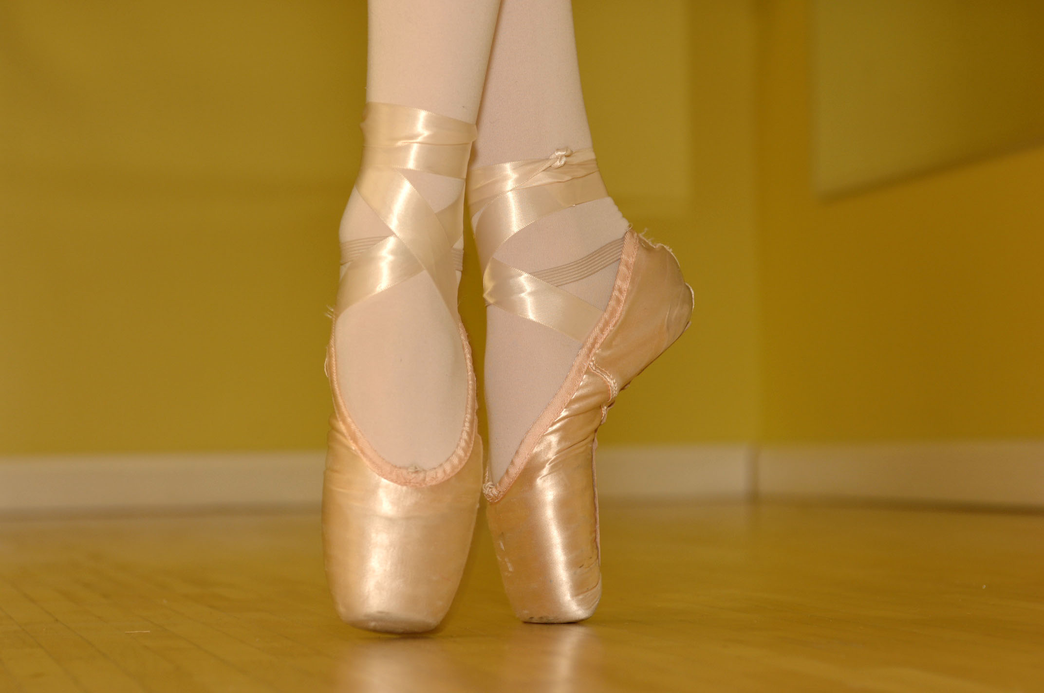 Tickets For Spring Concert Recital 2016 In Rockville From ShowClix