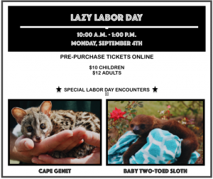 Lazy Labor Day Event