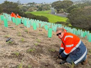 Seaview Grassland Reserve Community Planting
