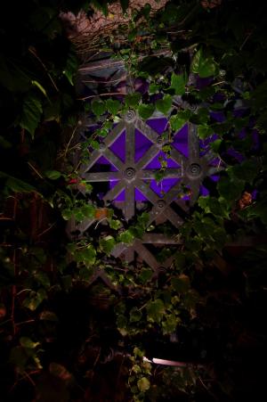 The Good, the Bad and the Unusual 2025