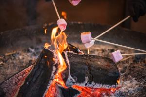 Tales of a Traveller with S'mores!