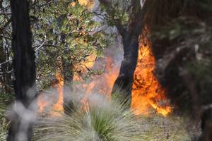 Bushfire preparedness and information session