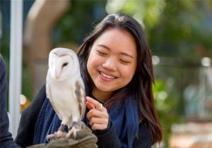 Give a Hoot Day