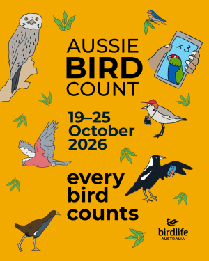 Balyang Sanctuary Bird Hunt - Geelong Nature Week